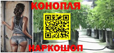 шишки Бузулук