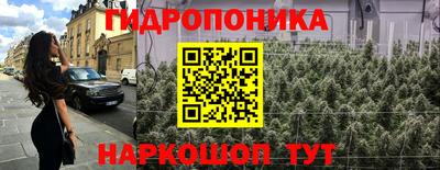 шишки Бузулук