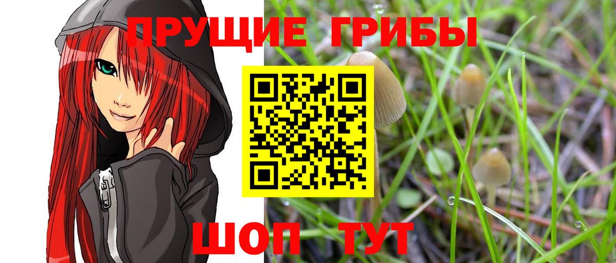 как найти закладки  Вход с VPN  Нижневартовск  Псилоцибиновые грибы мухоморы 